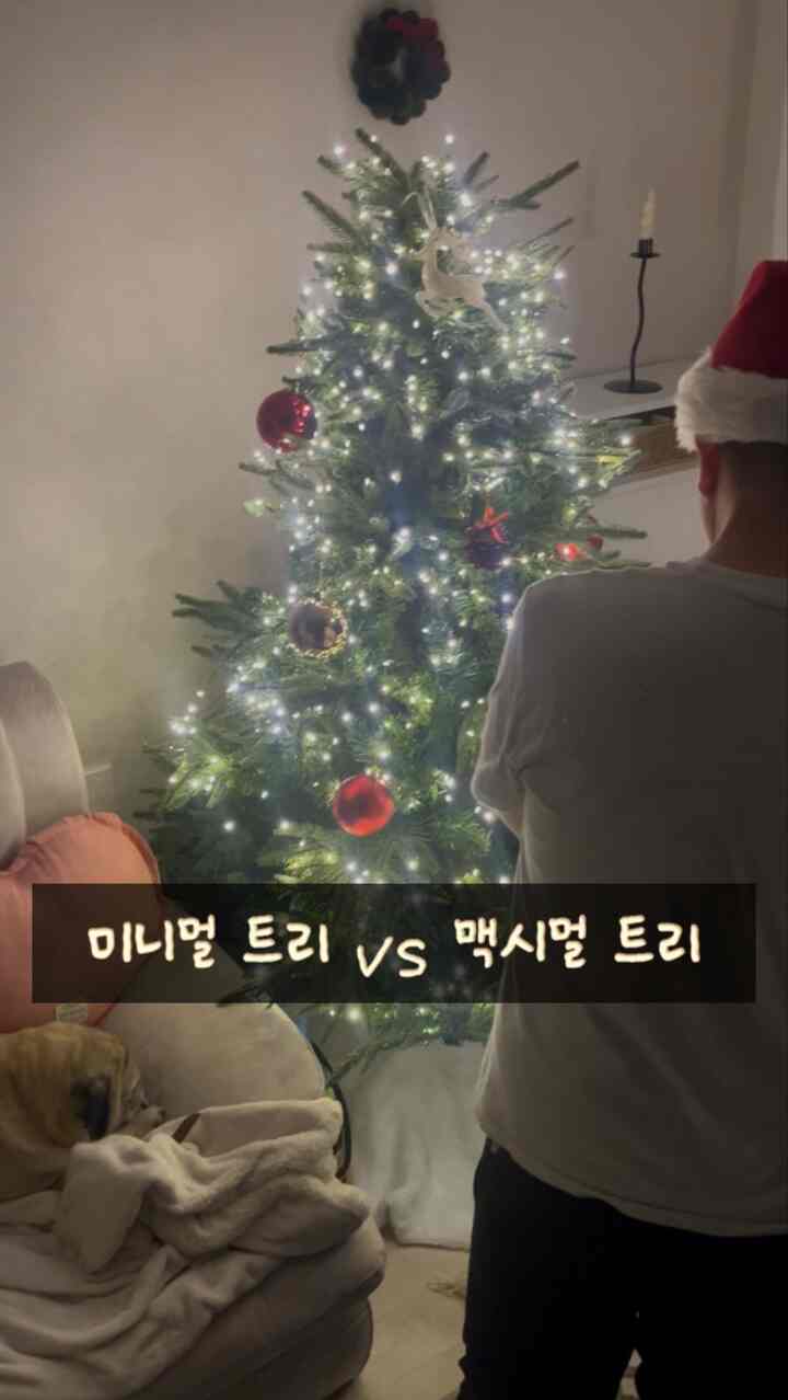 ＃コンスープフィルム2＃トリック 

飾りのない木がいい私vs飾りたい新郎

数日目に気づいた新郎についに許可しました
キャロルを聞いて楽しく飾ったんですよ🤣

数日前、私は今チームのミニマリストに向かっていくと書いたと思います。
またこうなりましたはい… .😅

昨年は私のようにリボンツリーをやったから
今年は花婿が好きなように装飾ツリーをしよう♥♥️

ミニマリストツリーとブリンブリングツリー
お兄さんの好みはどうですか？ 🫶🏻


＃ペットナッツは家＃ツリー装飾＃クリスマスストリート＃クリスマス＃クリスマス小道具＃クリスマスデコ＃クリスマス装飾＃クリスマスリビングルーム＃カップルデイリー＃サンタ帽子＃クリスマス準備＃トリオナメント
