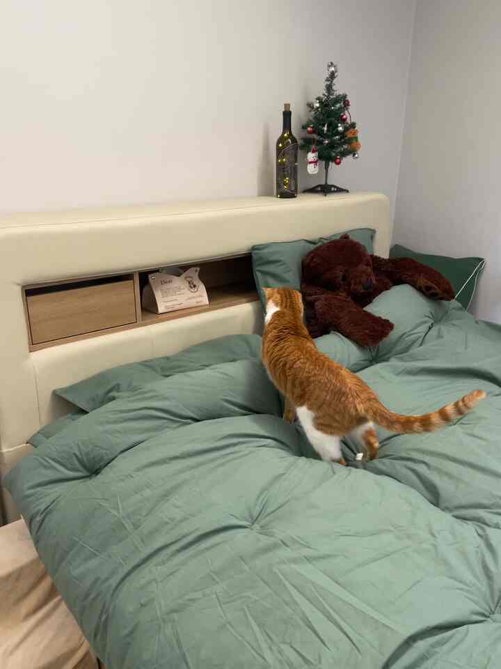 ベージュ色のヘッドボードと緑色の寝具が配置された、猫とテディベアのいる落ち着いた寝室の雰囲気のあるインテリア