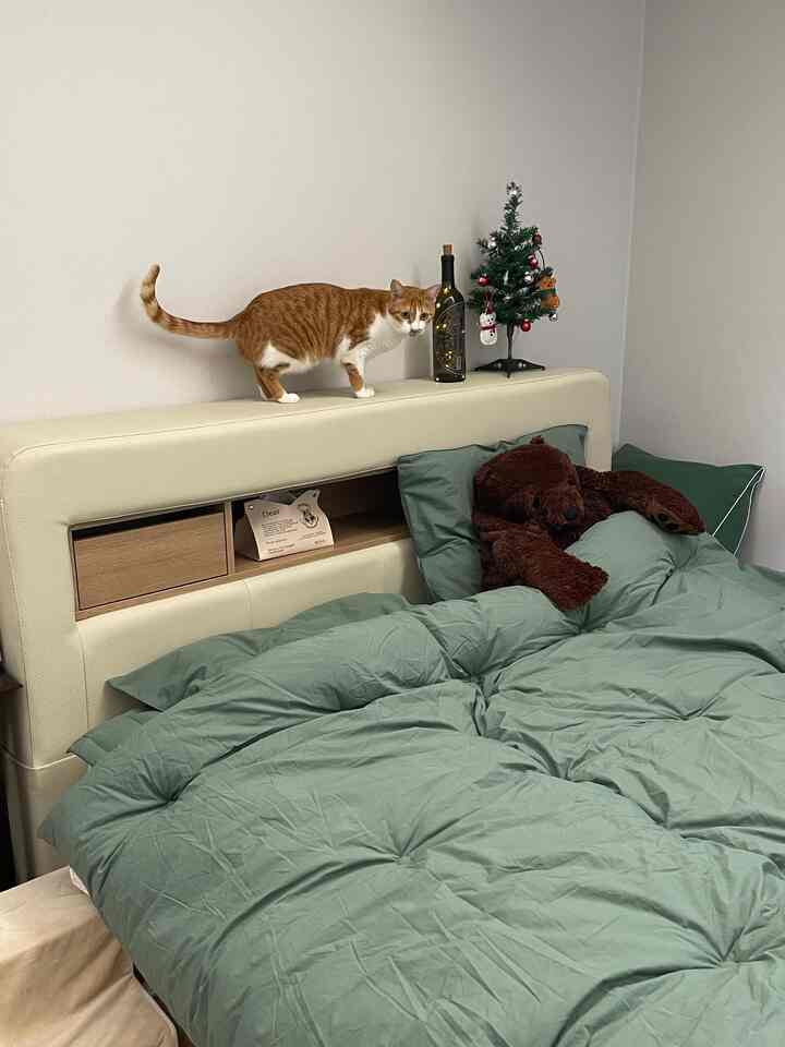 ベージュとグリーンの色調の寝室、ベージュのヘッドボードベッドと緑の掛け布団カバー、猫とぬいぐるみが配置された雰囲気のあるインテリア