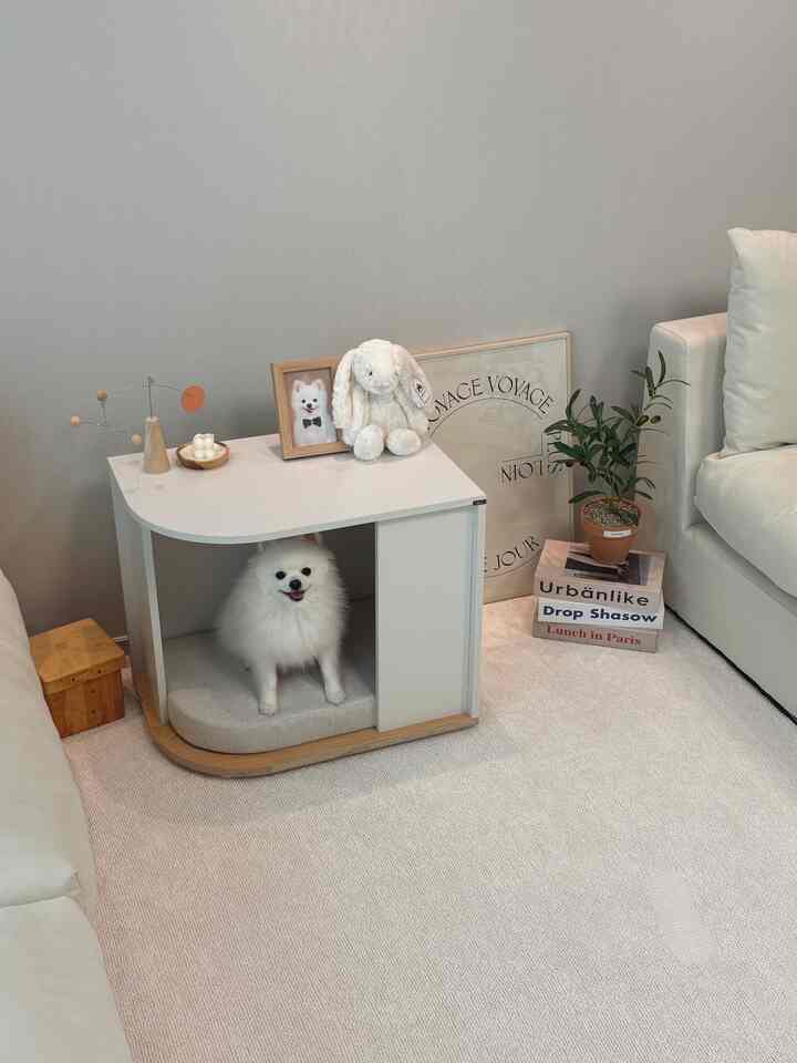 ホワイトトーンのリビング、ペットハウスとソファ、額縁と植物が配されたシンプルなインテリア