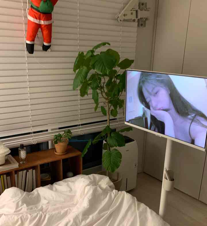 White-toned bedroom featuring a bed, bookshelf, and plant with a modern interior style