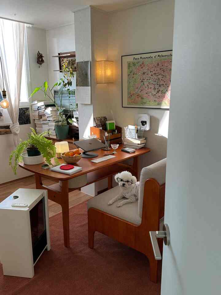 Natural tone studio living room with warm wood, plants, and a desk featuring a relaxed pet dog