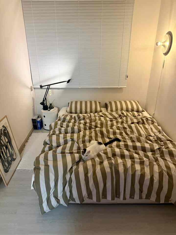 ホワイトの壁とベージュのストライプ寝具があるモダンな小さな寝室、寝具の上にリラックスした猫がいる