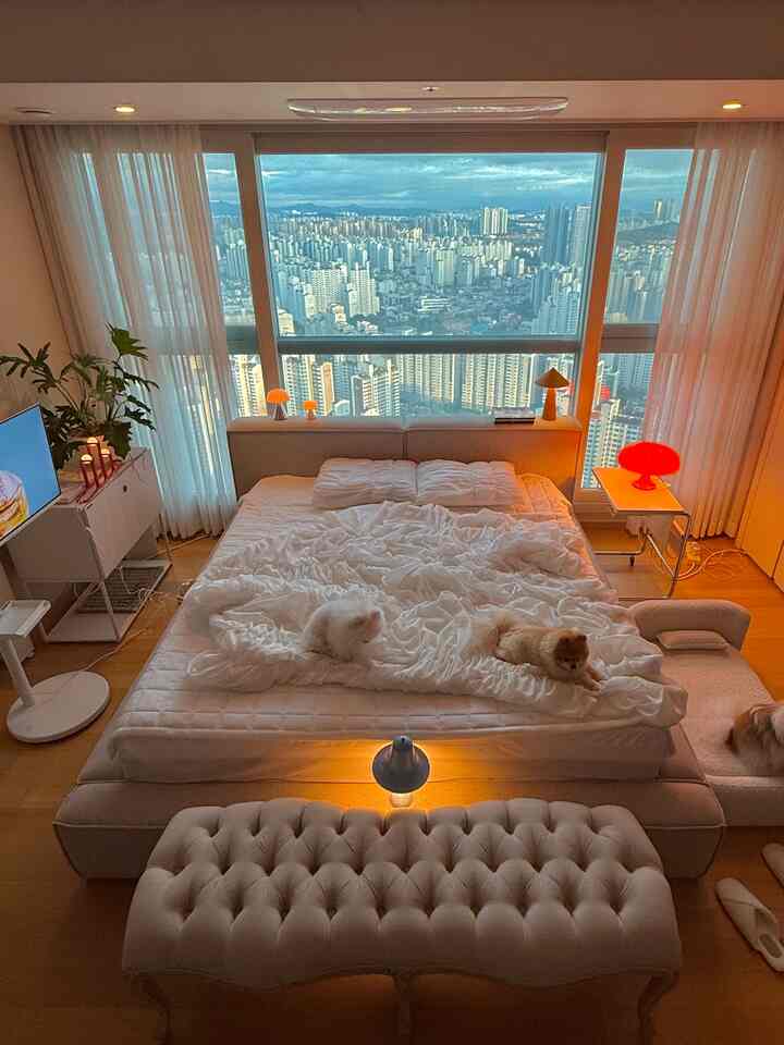 ホワイトとウッドトーンが調和したナチュラルモダンな寝室、大きなベッドの上に2匹の犬がくつろぎ、広々とした窓越しに都会の景色が広がる印象的な空間