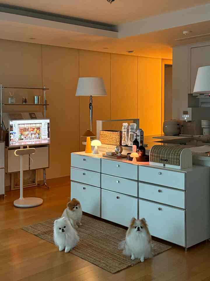 白と木目調が調和したリビングルーム、三匹の犬がラグの上に座り、複数の照明と収納家具が配置された温かみのある空間