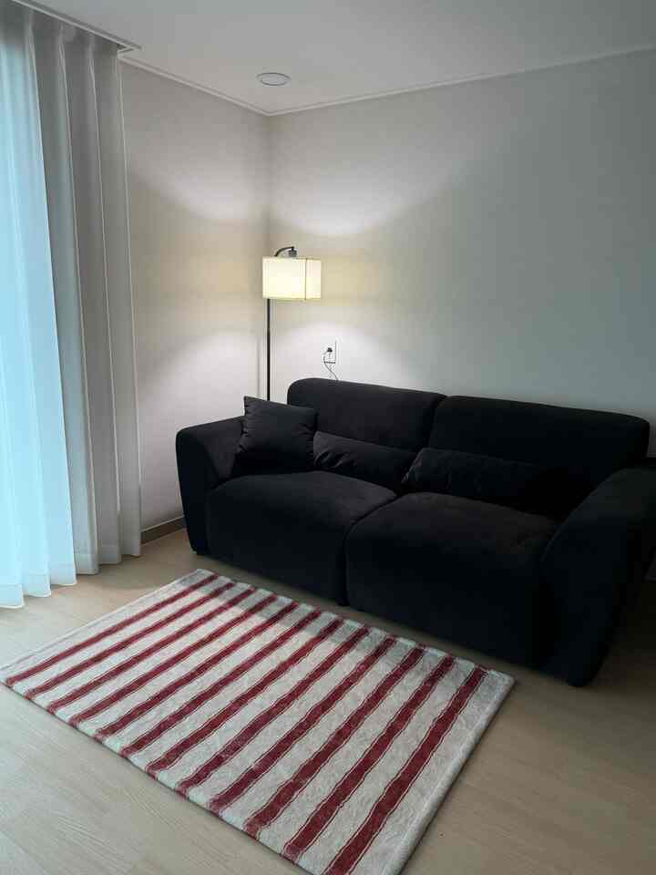 白い壁とカーテンによる明るいトーンの小さなリビングルーム、黒いソファと赤いストライプのラグが調和した雰囲気のあるインテリア