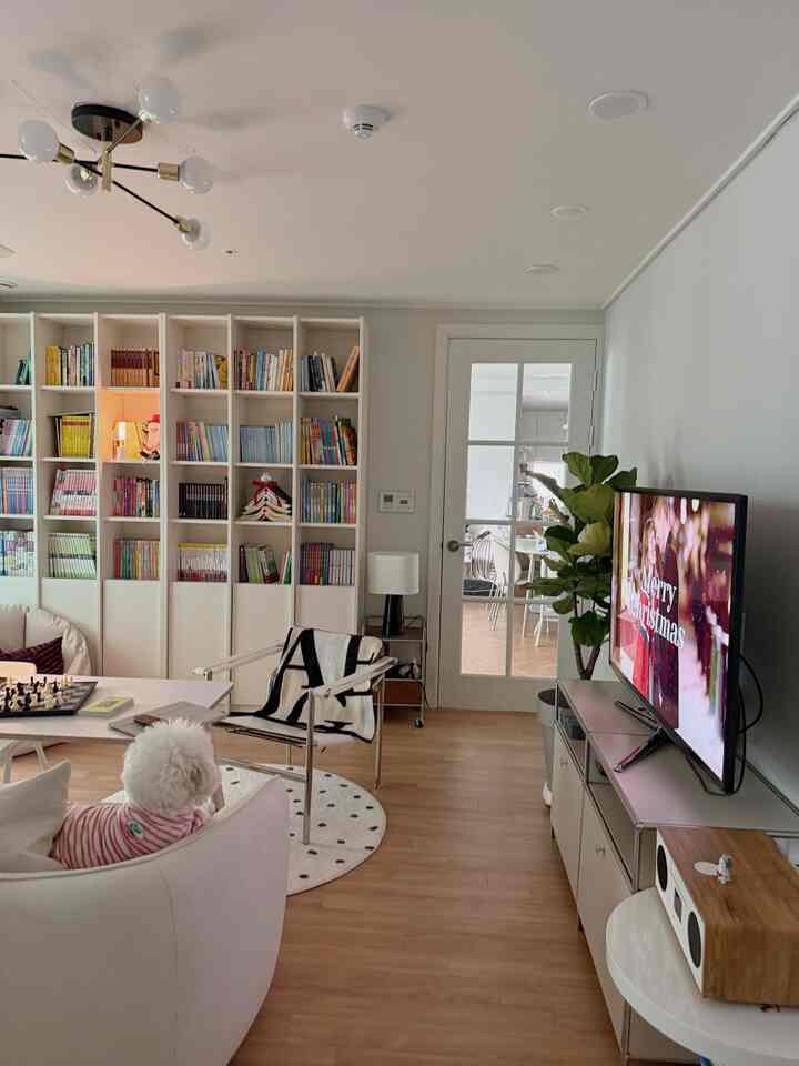 A white and natural toned living room featuring a large bookshelf, sofa, armchair, TV stand, and plants creating a cozy atmosphere