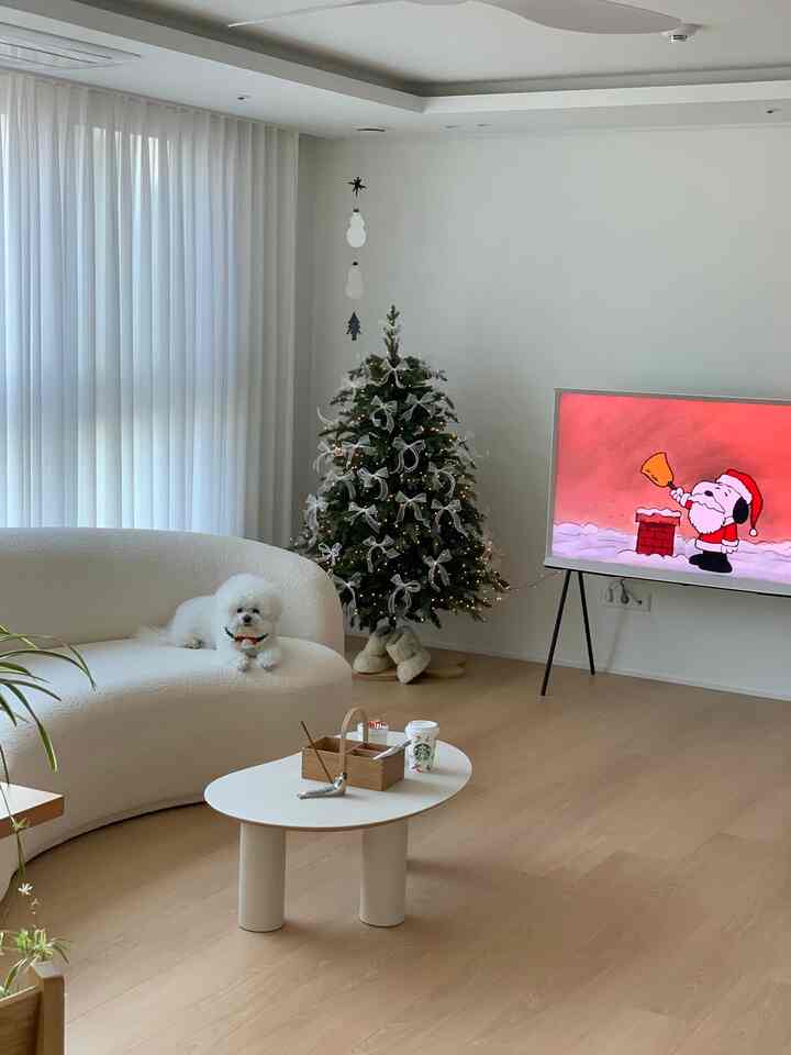White and natural-toned living room featuring a curved sofa with a dog, a decorated Christmas tree, and a TV creating a cozy atmosphere