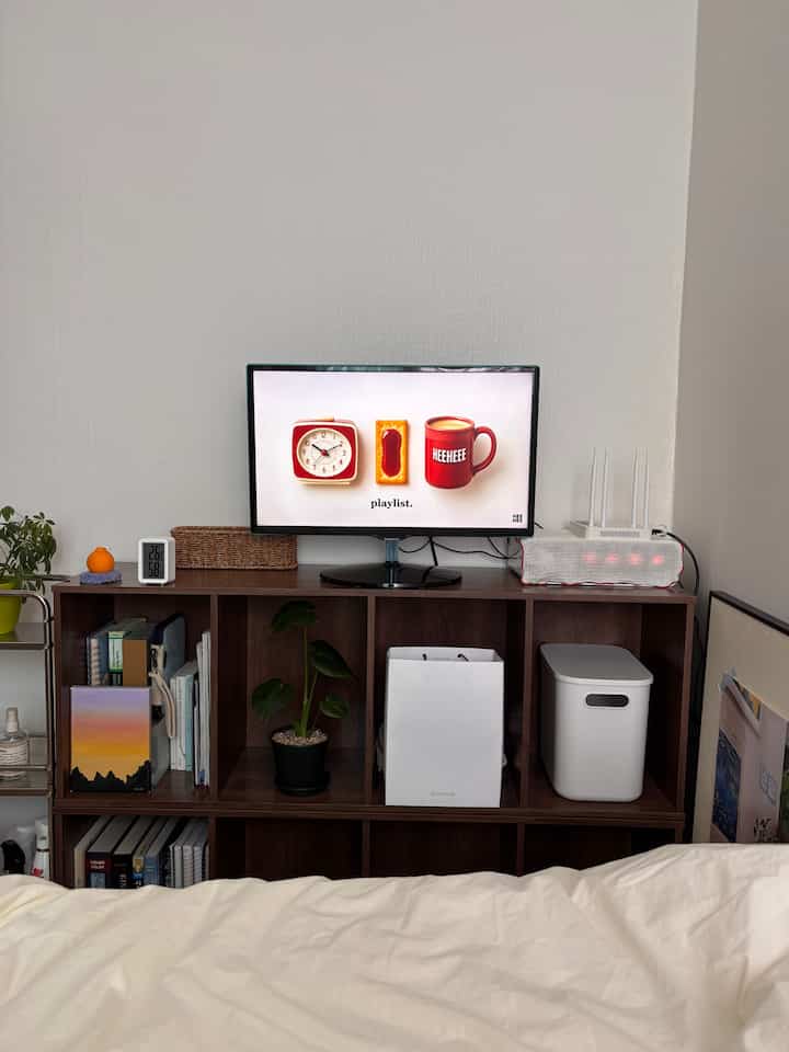 Studio apartment living room with natural wood-tone bookshelf, white walls, TV, plant, and organized storage boxes
