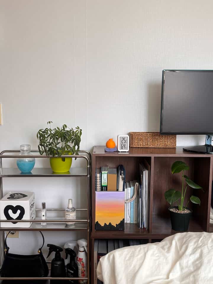 Natural-toned cozy living space with wooden bookshelf and stainless steel rack featuring green plants in a neat arrangement