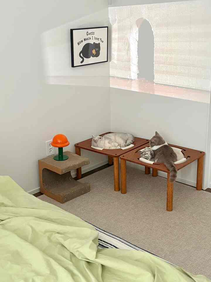 白い壁と木目調のペット家具が配された寝室、くつろぐ2匹の猫と猫用トイレや爪とぎがある自然な雰囲気のモダンなインテリア