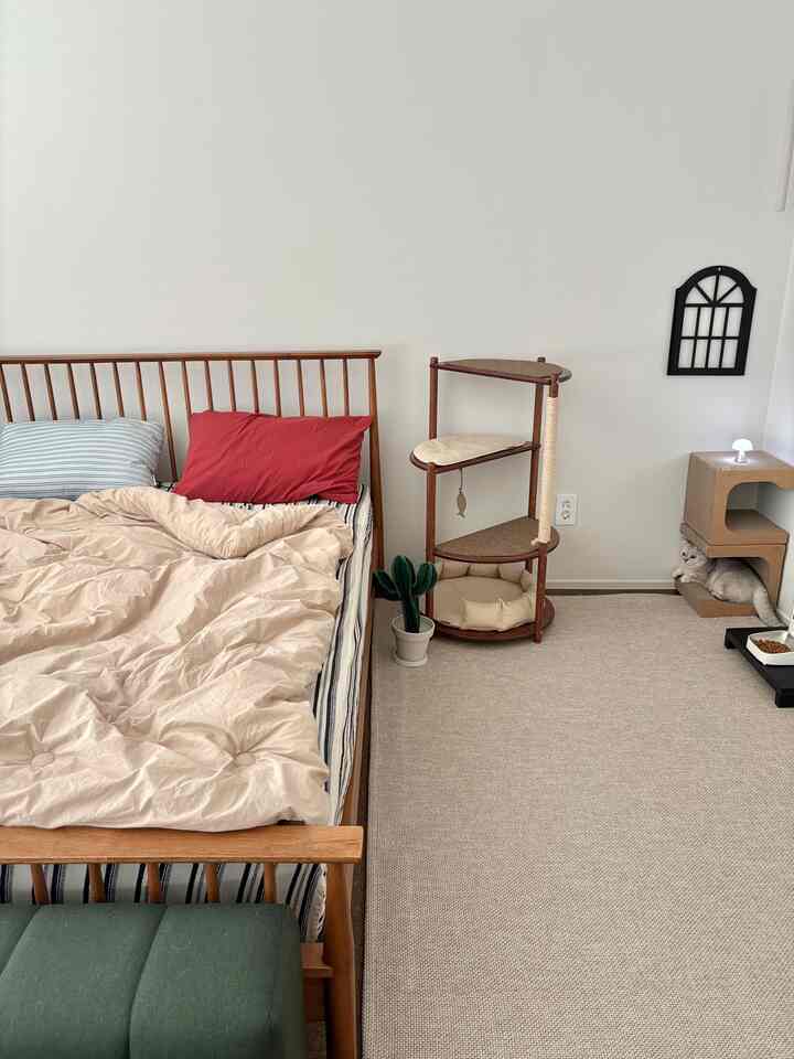 白い壁とベージュのカーペットの寝室、木目調のベッドとキャットタワーが配置され、猫がいる落ち着いた空間