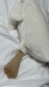 게시글 미리보기 이미지 3