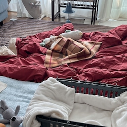 얘기할 곳이 없어 마음이 먹먹하고 답답해서 루니를 이제껏 예뻐해주신 분들이 많아 대나무숲이다 생각하고 오늘의집 기록을 정리안된 거실로 시작해봅니다. 
일요일 저녁에 갑자기 루니 상태가 너무 안좋아서 2차병원까지 검사하고 알게된 여러검진내용중 당장 해야하는 수술이 생겨서 돌아오는 화요일까지 수술잡으려고 대기중이에요 나이가 많지만 그래도 잘지내고 있다생각했는데 뇌종양을 발견하게되어서 수술을 결정했어요. 
다음주까지 사람손없이는 아무것도 할 수 없는 상태라 꼭 붙어있어야하니 좋은 생각많이 하려해도 한계가 있어서 이렇게 글도 남겨봅니다. 
루니야 우리 조금만 더 참자 ! ♥️ 내가 예쁜 새 집도 사줄게 힘내자우리🎀
#콘수프기록집 #오늘의우리집 #거실 #매트리스토퍼 #탄소매트 #바스락이불 #반려견과사는집 #켄넬 #반려견방석 #거실커튼 #속커튼 #겨울인테리어 #럭스나인 #깃든 #스타일링홈 #아르르 #아르르방석 #아르르낮잠이불 #데코뷰담요 #극세사담요 #아엠홈 #실내자전거 #쁘리엘르 #누빔커튼 #방풍커튼 #방한커튼 