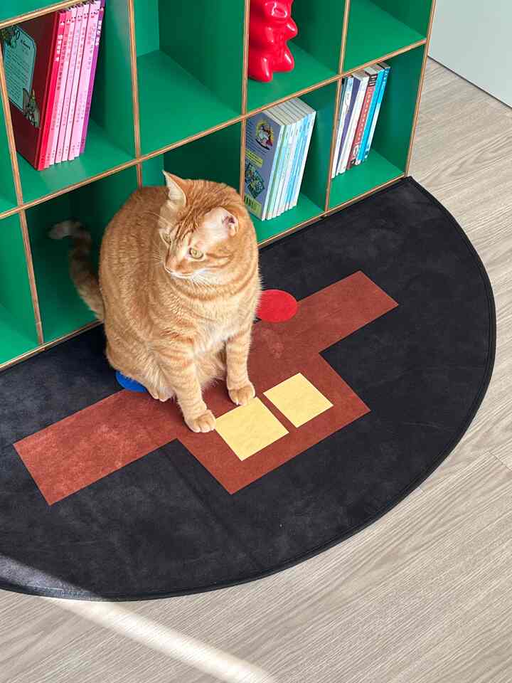 緑の棚と黒いラグの上に座るオレンジ色の猫がいる印象的な空間