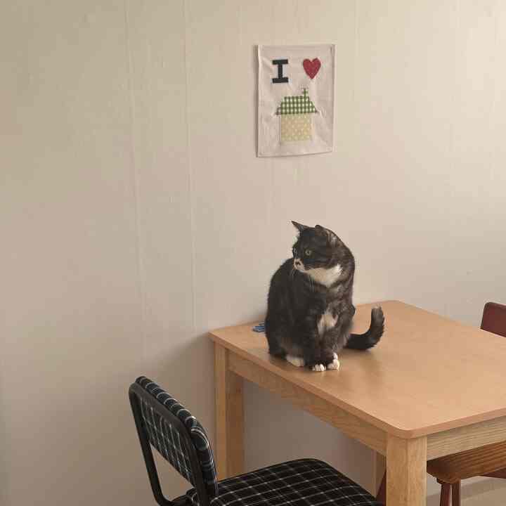 ナチュラルな木目調のテーブルと白い壁が調和したリビング、テーブルの上に黒い猫が座っている雰囲気のあるインテリア