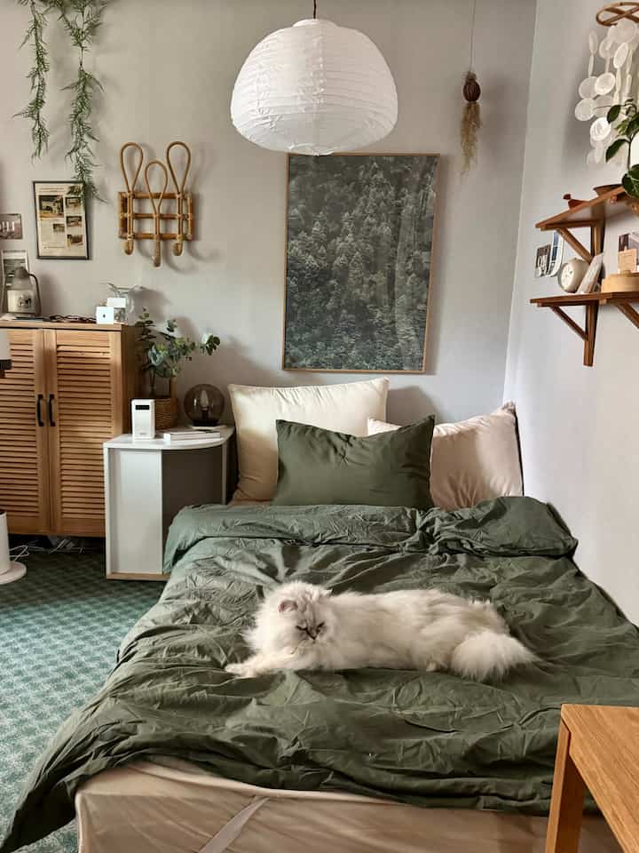 オリーブグリーンと木目調の落ち着いた寝室、中央のベッドに白い猫がくつろいでいる印象的な空間