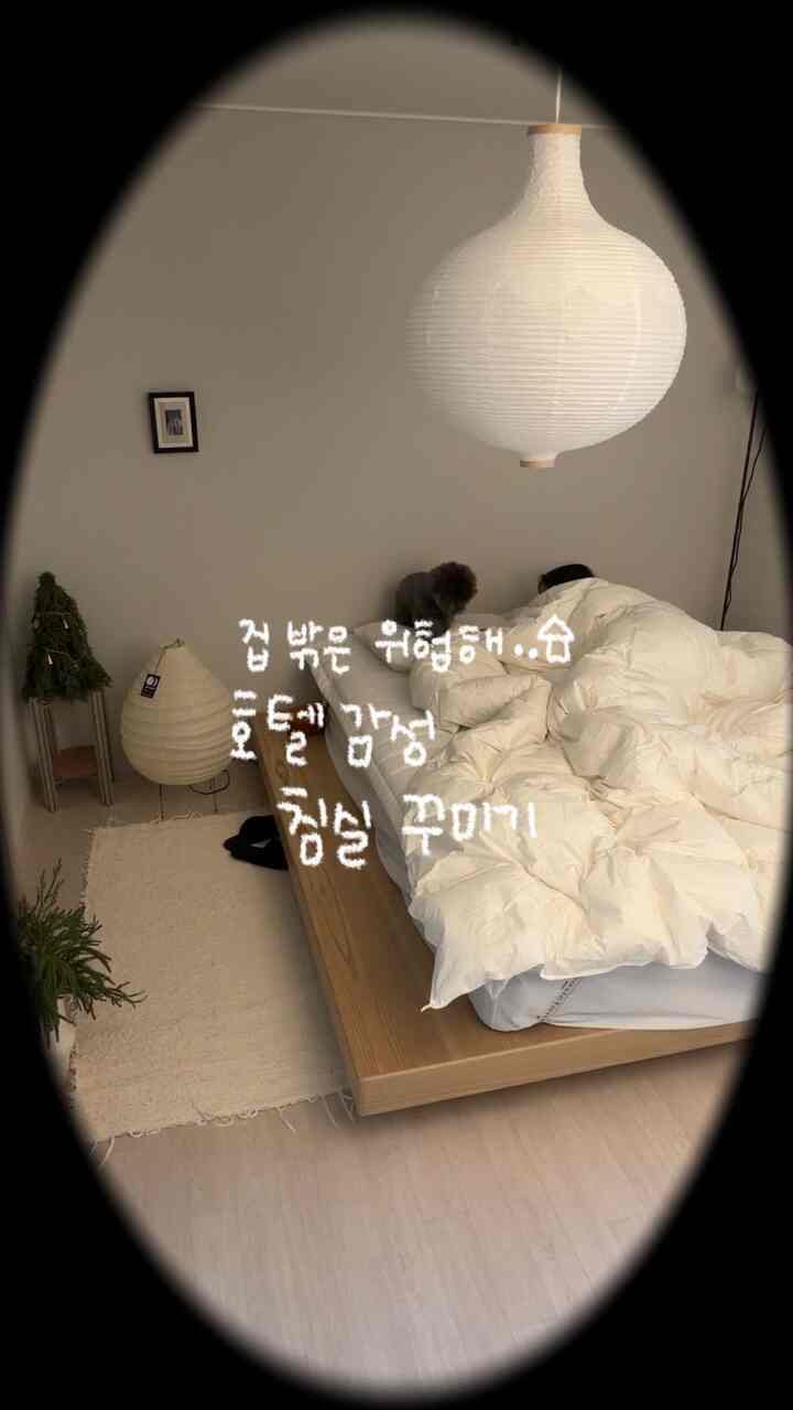 家の外は危険です、、、家をホテルにする方法2つ💭

私は外出したと言うのがずっと抜ける人です
家からエネルギーを得る集順なので
寝室はホテルのようにふわふわ飾ってあげたいと思いました:)
そんな誕生した私たちの家の寝室のムード、、、🫶

ホテルの感性の寝室を飾るための2つのコアを挙げてみました。

まず、ホワイト寝具は必須！
ホテルの感性から抜け出すことはできません。

ホテルで使うグース布団に変えました。
キレイなホワイトカラーにふわふわの風合い、
バスラックは音まで芸術です。
覆う瞬間、
家から出るのが嫌いです🤍

第二に、暖かい電球色の照明
ホテルが快適に感じられるのは照明のおかげです。
明るく明るい照明は消え、代わりに穏やかな電球色の照明をオンにしてください！
黄色の光が空間をはるかに居心地の良いものにします。
雪もリラックスして寝る前に寝室にぴったりです:) #침실인테리어 #침실꾸미기 #침실 #인테리어 #호텔침구 #호텔이불 #호텔침대 #침실조명 #전구색 #전구색조명 #이사무노구치 #이케아조명 #조명인테리어 #구스이불 #구스침구 #우드인테리어 #화이트침구 