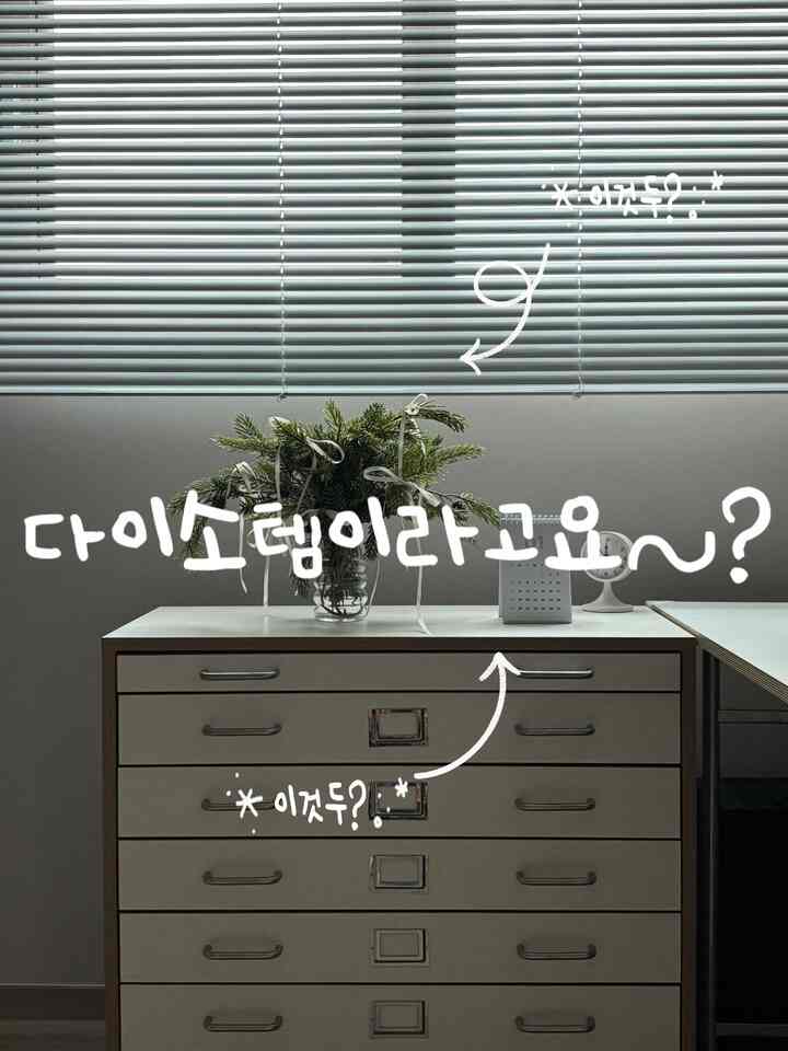ダイソームで飾る書斎！  #집콕 #집순이 #집돌이 #내집 #우리집 #오늘의집 #집들이}  #셀프인테리어 #방꾸미기 #집꾸미기 #홈데코 #아파트인테리어 #서재  #리본 
