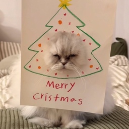고양이 트리 가면 만들기 🐱🎄🤎
이번 크리스마스는 야니와 함께 동심 찾기 ㅎ ㅎ 
근데 이제 야니 뚝딱이가 되어버려~~~
모두 메리크리스마스 입니다냥 ~~~ 
#Merrychristmas 🎄
#콘수프필름 #고양이용품 #diy #크리스마스소품 #크리스마스인테리어 #빈티지인테리어 #우드인테리어 #고양이가사는집 #펫테리어 