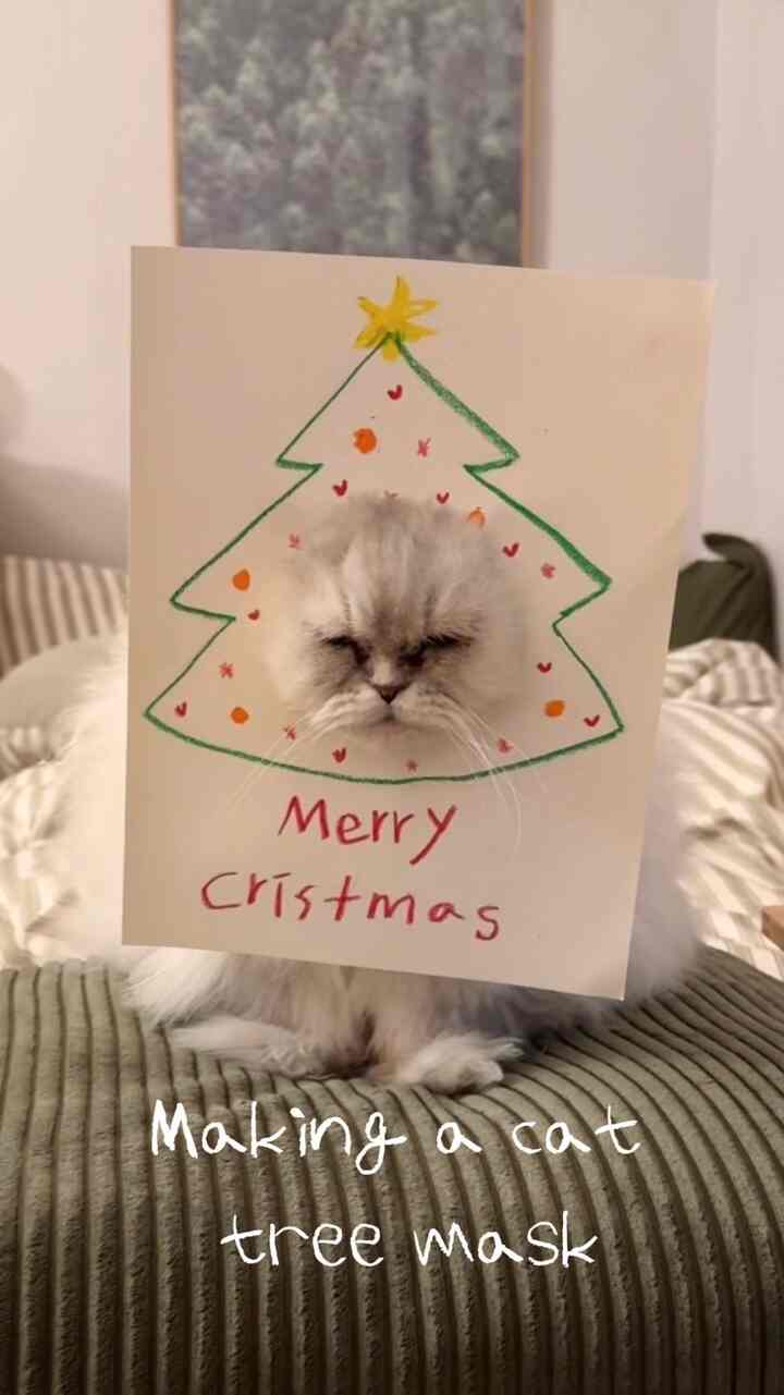 猫の木のマスクを作る🐱🎄🤎
今回のクリスマスはヤニと同心を求めるㅎㅎ 
しかし、今やあなたはそれになりました~~~
みんなメリークリスマスです〜〜〜 
#Merrychristmas 🎄
＃コンスープフィルム＃猫用品＃diy＃クリスマス小道具＃クリスマスインテリア＃ビンテージインテリア＃ウッドインテリア＃猫の家 