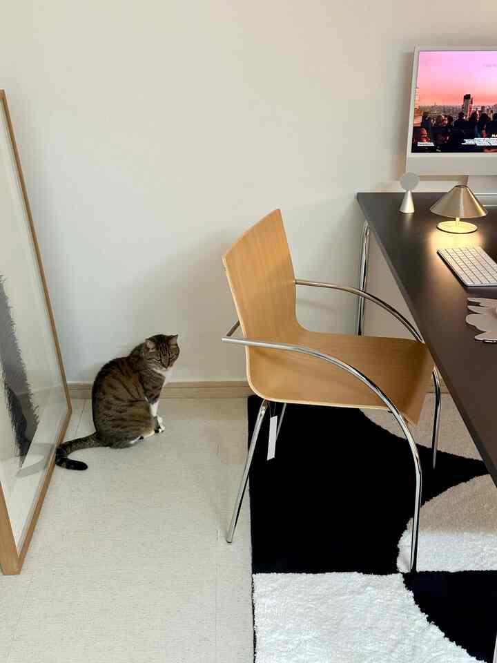 明るい木目調の椅子と黒いデスクがあるモダンなホームオフィス空間、壁際の床に猫が座っている