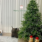 #크리스마스거실
#올해의크리스마스
#트리샷

모두 메리크리스마스🎄
행복이 가득가득하시길 바랍니다❤️ 

결국 180트리는 저희집 거실에 놓였구요🤭
거대하여 고민했으나 
전구감고 지분을 내어주니
마냥 제눈에 이뻐보입니다😍

올해는 전구만 감고 깔끔하게! 

이제 트리를 들였으니 
한 해 한 해 오너먼트도 늘려가고 
아이들과 꾸며가는 재미를 느껴보려해요🎄

둘찌가 만들어온 케이크와 함께🎂 
크리스마스를 마져 즐겨봅니다😘

모두들 행복한 크리스마스 마무리 잘 하셔요🎅

#크리스마스트리 #크리스마스소품 #크리스마스인테리어 #크리스마스파티 #크리스마스케이크 #거실인테리어 #거실꾸미기 #트리꾸미기 #트리180 #지네전구 #케이크만들기 #오늘의집 #소통해요 #맞팔환영 