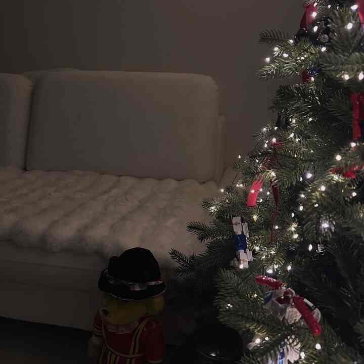 クリスマスは過ぎたが、
私たちの家のリビングルームにはまだ木が残っています🎄
火をつけておくと、冬がもう少し長く滞在する感じです。
おそらく1月末頃にまとめるのではないかと思います。

みんなの木いつにまとめるの？ 👀💭

＃今日の私たちの家＃コンスープ記録集＃今日の家＃私たちの家の記録＃リビングルームのインテリア