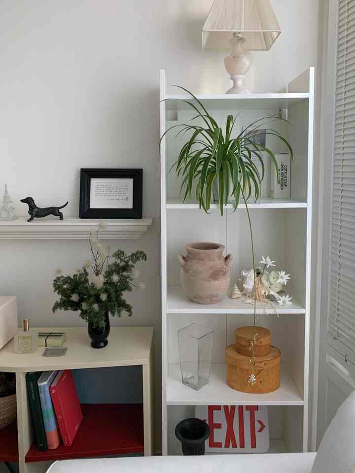 ホワイトトーンのリビングルーム、植物や様々な花瓶と小物が調和したナチュラルな雰囲気のインテリア