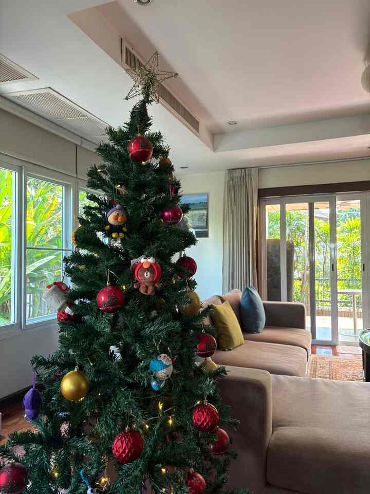 merry christmas! #happyholidays