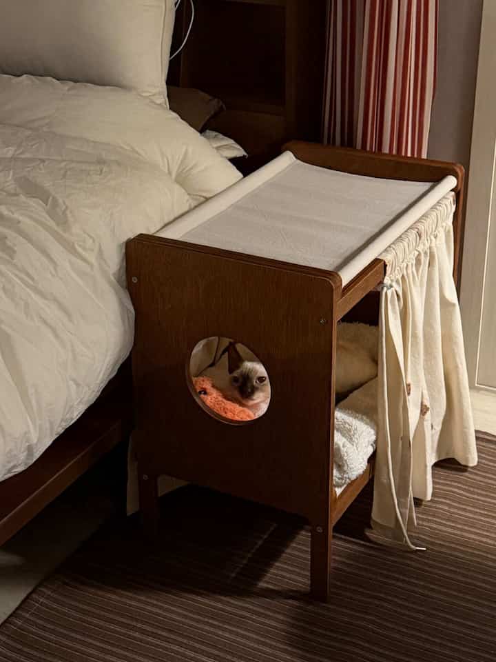 ブラウンとホワイトの色調の寝室、猫のペットベッドとベッドが配置された雰囲気のあるインテリア