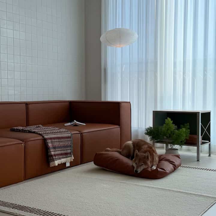 ブラウンのソファとアイボリーのラグが配置されたリビング、ペットの犬とペンダントライトが調和する自然な雰囲気のインテリア