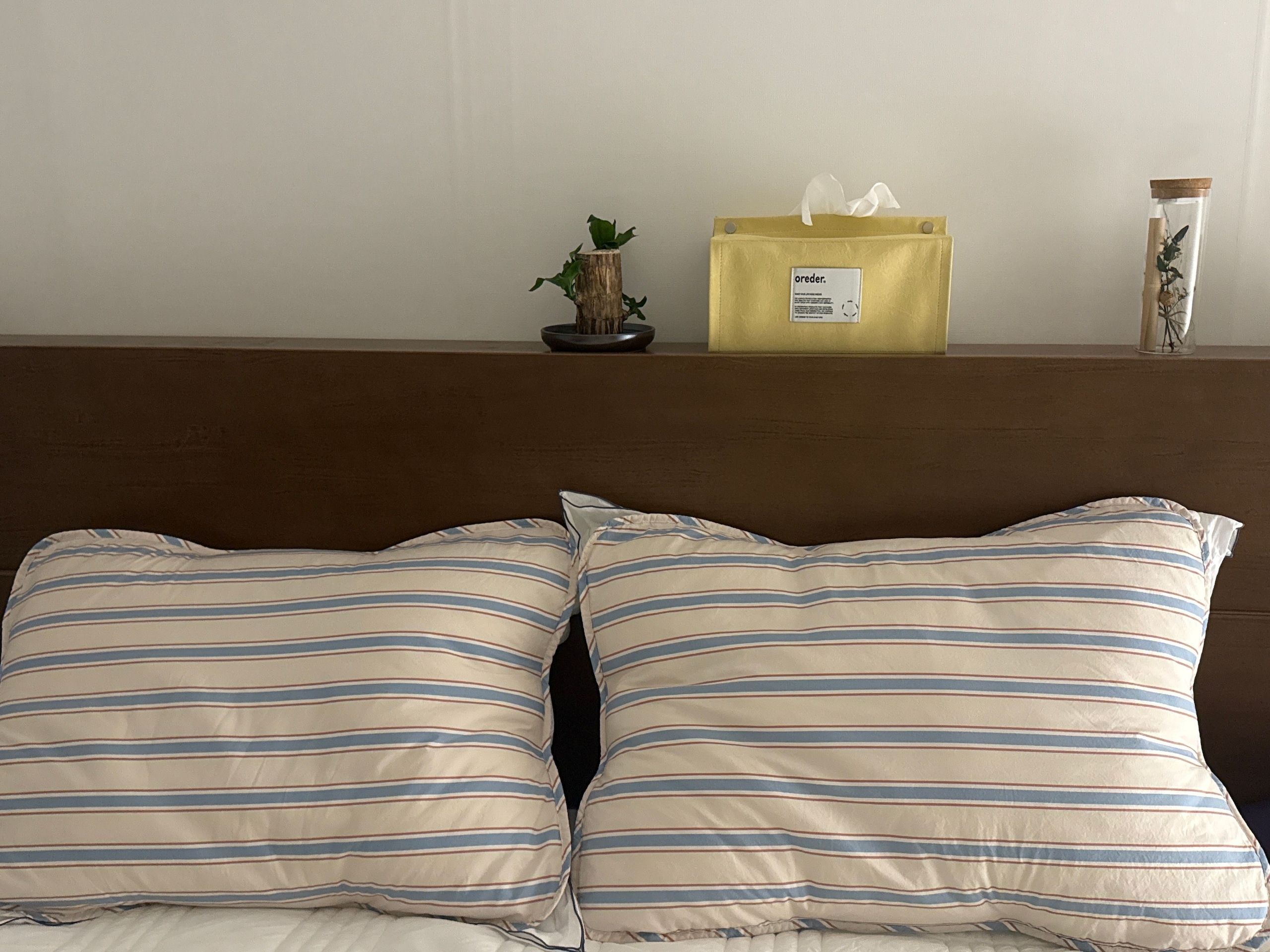 Vintage Mansion Cotton Fitted Pillowcase Set (2-Pack) user photo