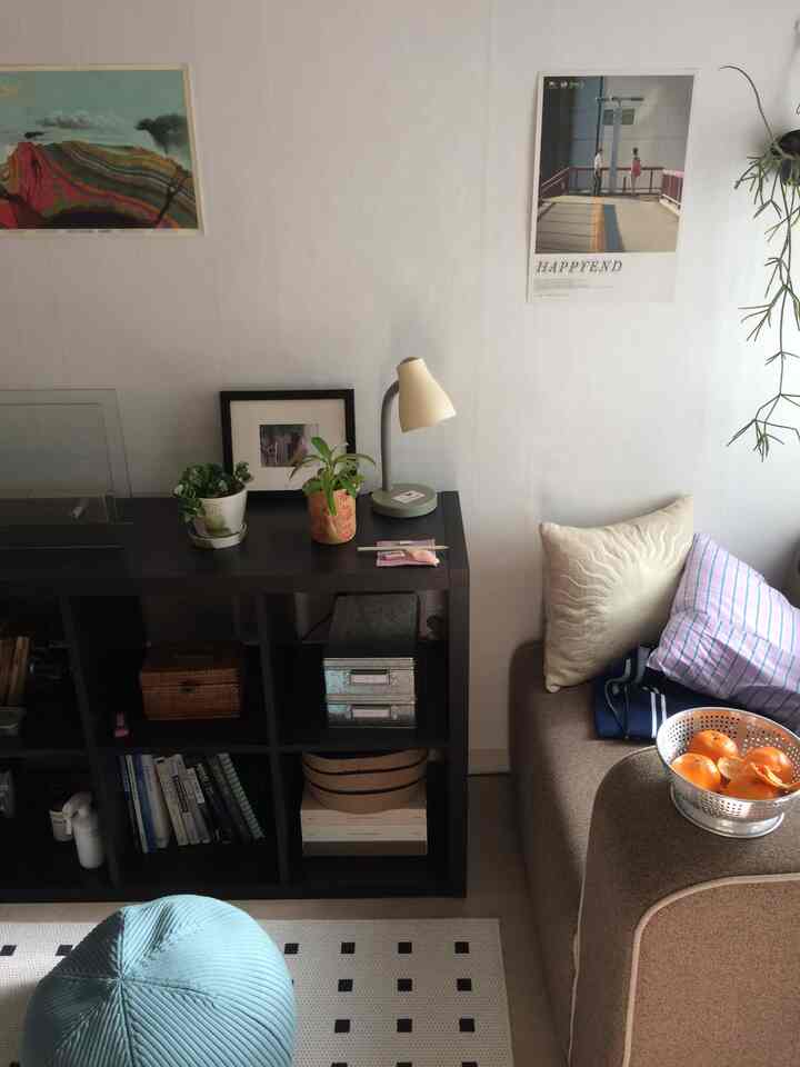 Cozy living room with brown sofa, white walls, and black bookshelf arranged neatly
