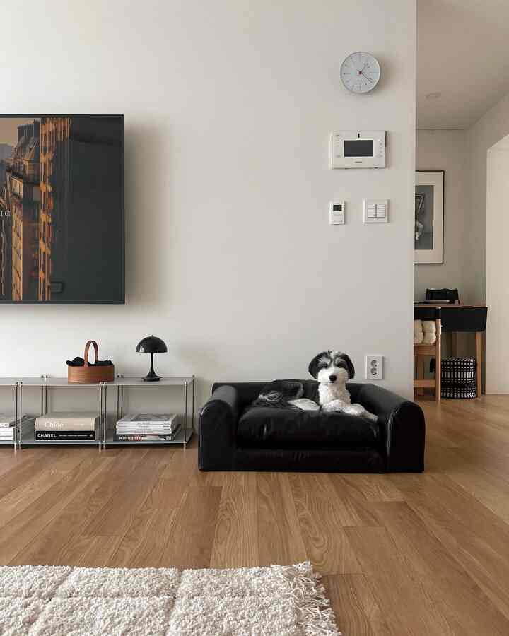 白い壁と木目調の床があるリビング、黒いペットベッドに犬がいるシンプルな空間