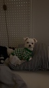 게시글 미리보기 이미지 3