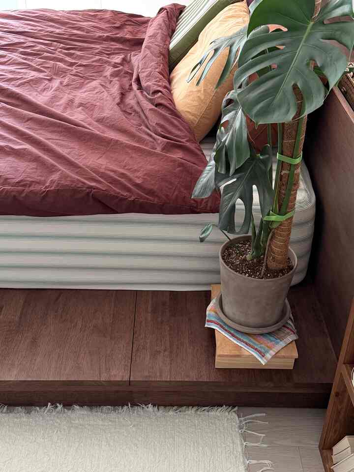 Natural wood tone bedroom featuring a spacious bed with mattress and large leafy plant creating a cozy atmosphere