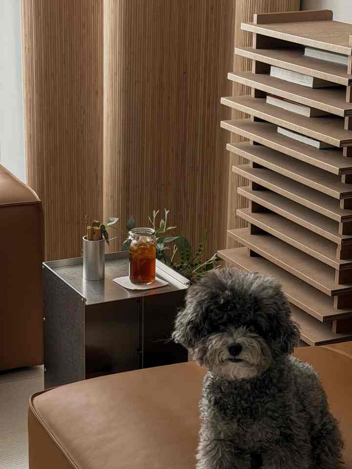 ブラウンレザーのソファと木製間仕切りが配置された、グレーの犬がソファの前に座っている温かみのあるインテリア