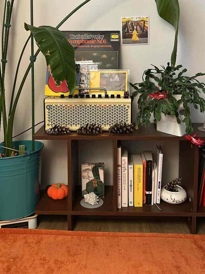 A beige and brown toned living room featuring a shelf with a record player and lush plants creating a natural atmosphere