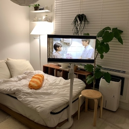 #6평원룸인테리어 #6평원룸꾸미기 
원룸 꾸미면서 이건 참 잘샀다하는것만 
모아왔어요 .. 🤍 
❶ 스마트 티비 + 이동식 거치대 
티비 : 삼성 스마트모니터 27인치 
거치대 : 엣지월 삼탠바이미 거치대 
❷ 매트리스 받침대 
디아스침대 초슬림 저상형 침대프레임 
❸ 매트리스 
저스트슬립 숙면 매트리스 SS
❹ 스탠드 조명 
스피아노 홀리스 스윙 플로어 장스탠드 조명 
❺ 틈새 서랍장 
오그레 우드 책장
❻ 책상 
데스커 1200x700 컴퓨터 책상 
❼ 의자 
에어론 센추리 체어 
❽ 이동식 트롤리 
가쯔 사각 5단 트롤리 화이트 
❾ 스마트 모니터 
삼성 스마트모니터 27인치 
❿ 탁상 조명 
아르떼미떼 톨로메오 마이크로 테이블 램프 
⓫ 선반수납장 
한샘 플롯 수닙 책장 단독형 5단 
⓬ 전신 거울 
온어우드 500x1800 원목 스탠드 전신거울 
⓭ 1인 소파 
한샘 눕 데일리 구스 1인 암리스
⓮ 소파테이블 
알루아 철제테이블 누크화이트 C
#콘수프기록 #맞팔 #원룸 #원룸인테리어 #원룸꾸미기 #원룸가구배치 #저상형침대 #6평 #6평오피스텔 #이동식티비 #소파 #1인소파 #원룸소파 #간이테이블 #사이드테이블 #원룸침대 #원룸매트리스 #원목스툴 #화이트인테리어 #자취방꾸미기 #자취방침대 #자취방침대 #자취추천템 #내돈내산 
