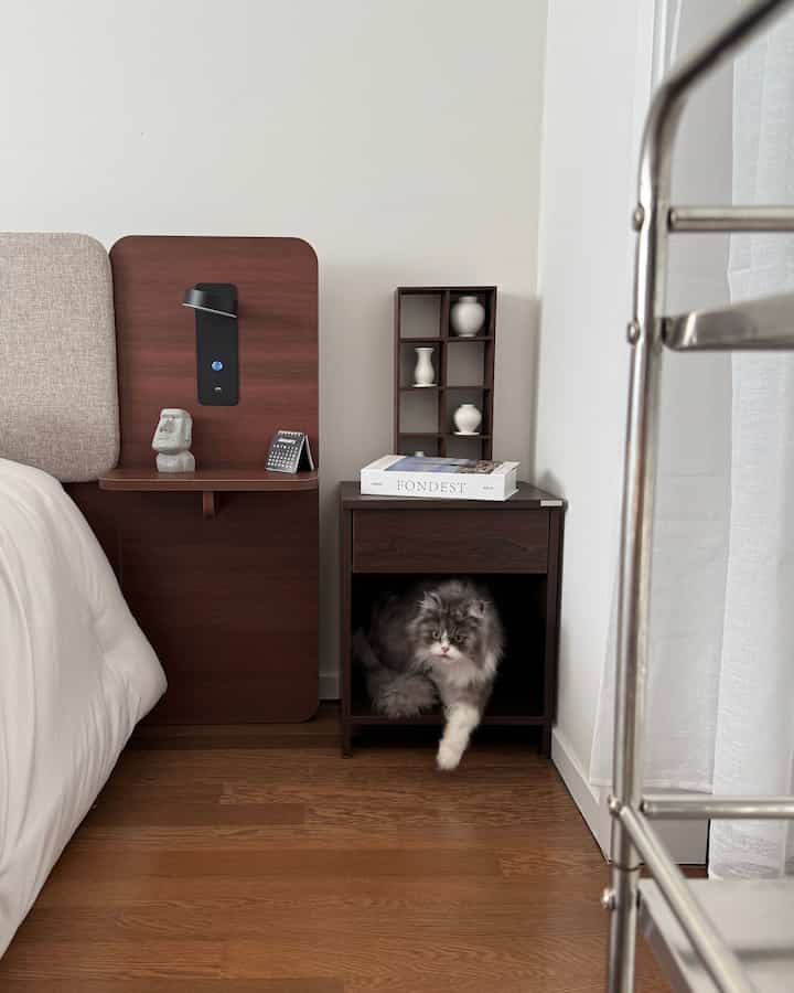 ナチュラルなウッドトーンの寝室、ナイトテーブルに装飾オブジェと下段にくつろぐ猫がいる印象的な空間