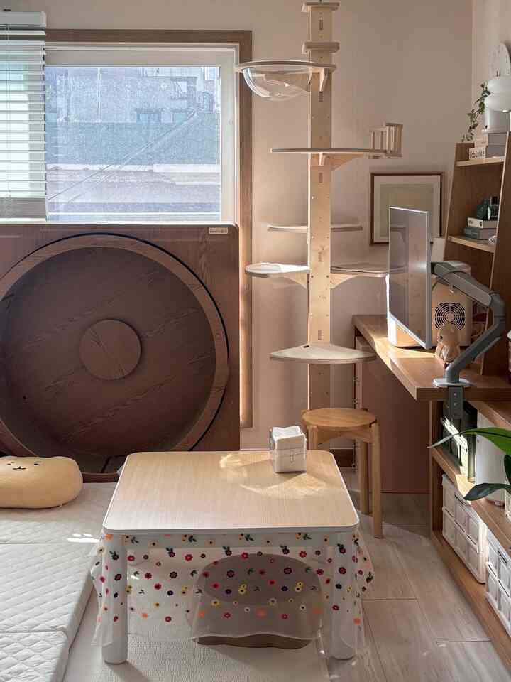 明るい木目調のワンルーム寝室、キャットタワーとキャットホイールが配置された居心地の良い猫と共存する空間