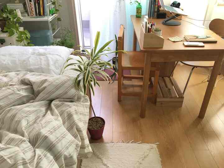 ナチュラルな色調のワンルーム、木製デスクとベッド、植物が配置された印象的な一人暮らしのインテリア