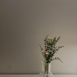 조화도 잘 나오는 요즘이에요
이케아 쇼룸 구경 갔다가
쟁여왔는데 너무 만족스러워요:)
#조화 #조화인테리어 #이케아스뮈카 #이케아조화 #이케아화병 #베스띠벽지 #실크벽지 #인테리어 #도배시공 #리모델링 #구축아파트 #콘수프기록집