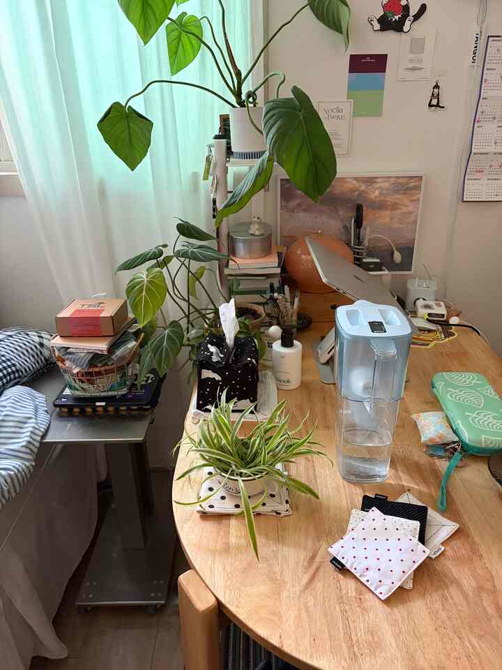 Studio apartment dining area with light green curtains and wooden table, featuring indoor plants and minimalist decor for a cozy atmosphere