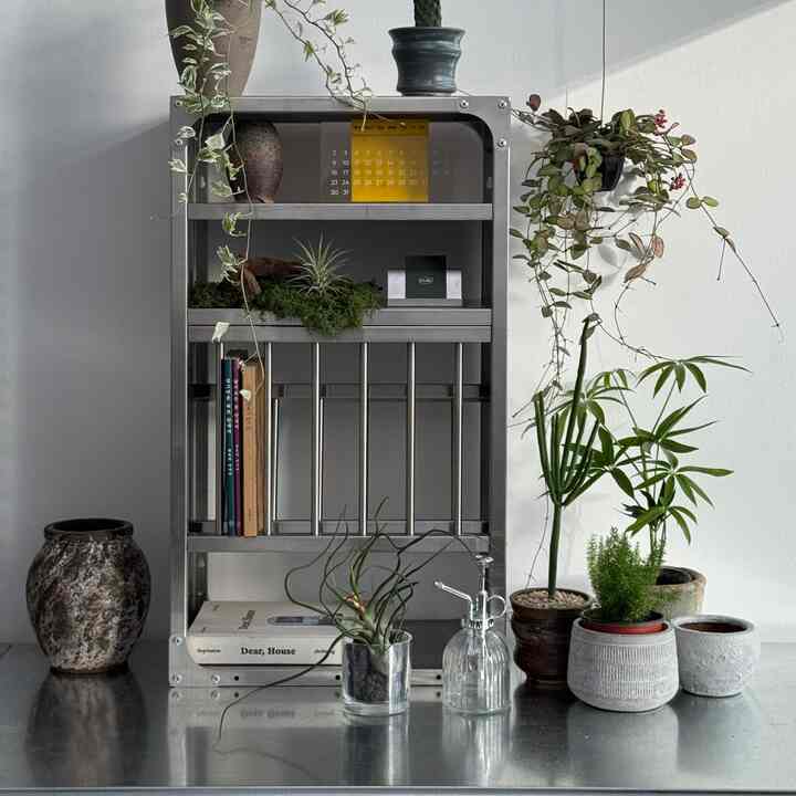 Natural-toned metal shelving with various indoor plants arranged in a tidy decorative space