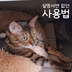 게시글 미리보기 이미지 1