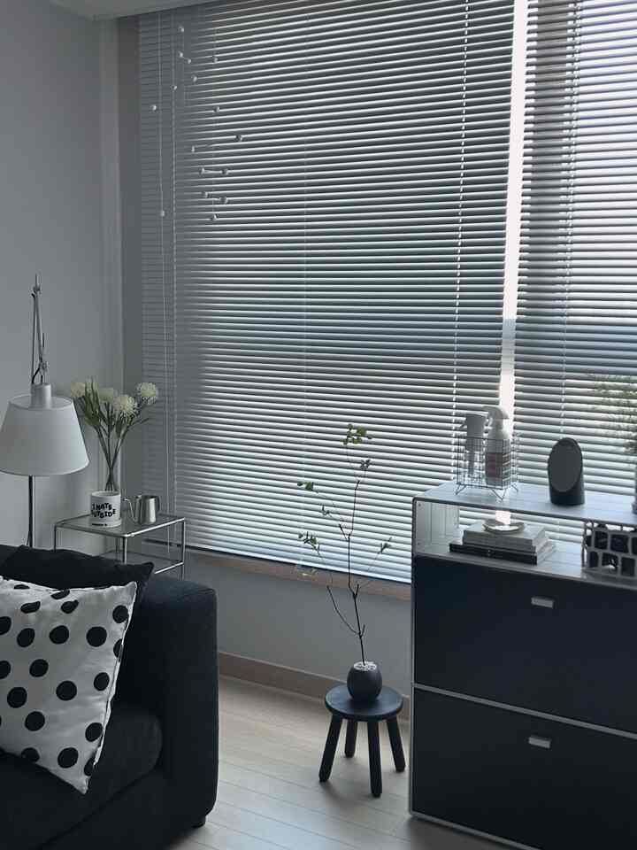 Monotone and natural color living room with black sofa, white blinds, and plants arranged in a simple setting