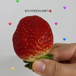 베비가 몸살이 났는지 꼭 붙어있는 월요일🍓
덕분에 낮잠 두시간 푹 잤고요! #애는안잠
요즘 딸기 너무 맛있죠
왕큰딸기도 먹고 미니딸기도 먹고❤️
#오늘의우리집 #콘수프기록집 #딸기 #냠냠