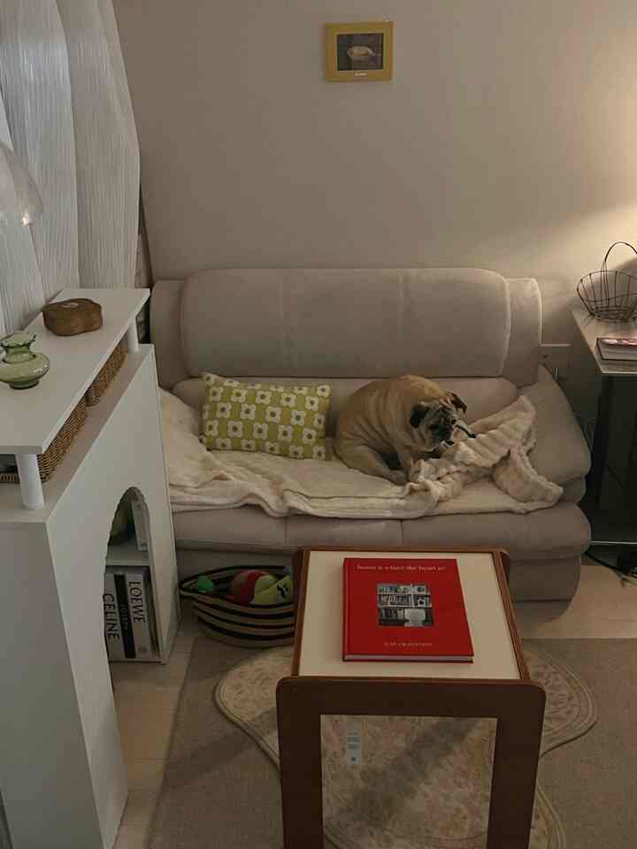 ＃コンスープ記録集＃今日の私たちの家4

夕方に照らされたキンリビングルームの一部です。
1月のほとんどの時間をアメリカで過ごす
アメリカの写真を少し一緒にアップロードしています:)

テーブルの上の本はニューヨークStrand書店で買いました。
実はとてもきれいで買いました♥️
インテリアと家についての話です。
忙しくてまだ読めませんでした… 。 ㅎㅎㅎ


＃リビングルーム＃リビング飾り 

